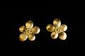 Solara Stud Earrings