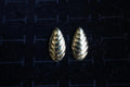 Shell Drop Stud Earrings